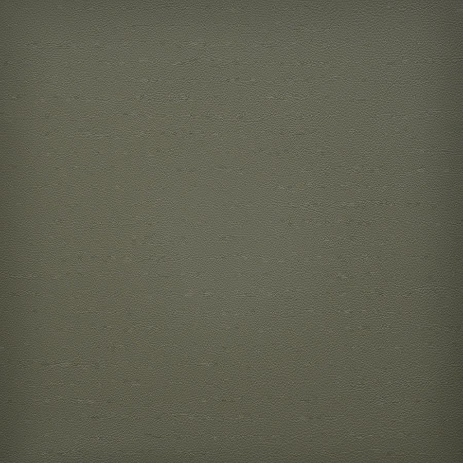 Vesper # 249 Sage by Maxwell Designer Fabric Easy Rider Vi 100% PVC TAIWAN 54" - Swanky Fabrics -