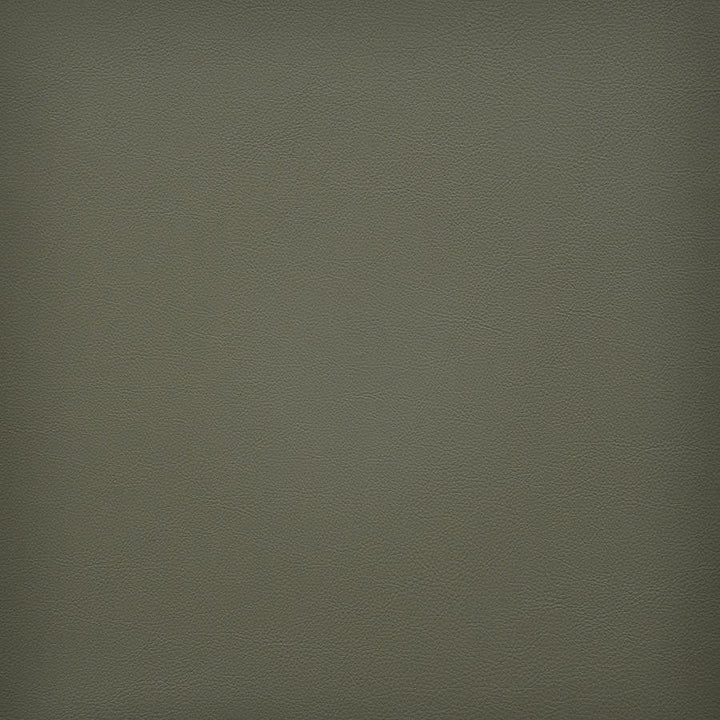 Vesper # 249 Sage by Maxwell Designer Fabric Easy Rider Vi 100% PVC TAIWAN 54" - Swanky Fabrics -
