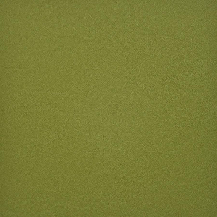 Vesper # 250 Granny Smith by Maxwell Fabric Easy Rider Vi 100% PVC TAIWAN 54" - Fabric Carolina -