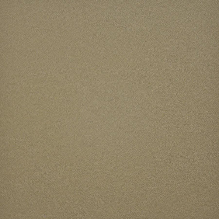 Vesper # 255 Buff by Maxwell Fabric Easy Rider Vi 100% PVC TAIWAN 54" - Fabric Carolina -