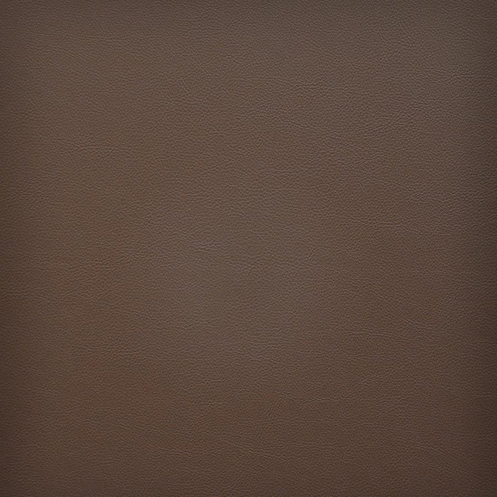 Vesper # 257 Mocha by Maxwell Fabric Easy Rider Vi 100% PVC TAIWAN 54" - Fabric Carolina -
