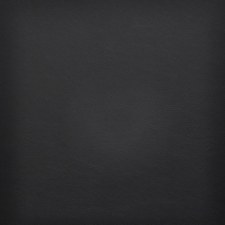 Vesper # 262 Black by Maxwell Fabric Easy Rider Vi 100% PVC TAIWAN 54" - Fabric Carolina -
