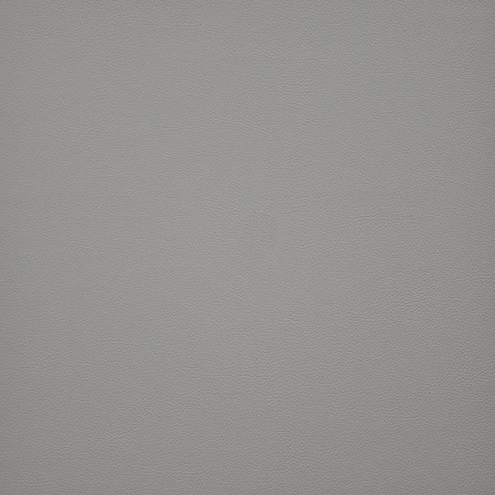 Vesper # 264 Horizon by Maxwell Fabric Easy Rider Vi 100% PVC TAIWAN 54" - Fabric Carolina -