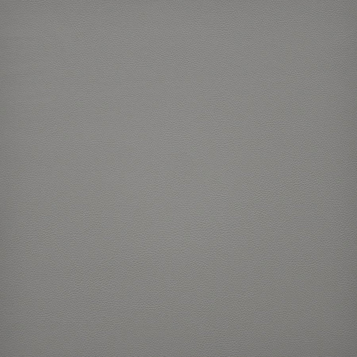 Vesper # 268 Mortar by Maxwell Fabric Easy Rider Vi 100% PVC TAIWAN 54" - Fabric Carolina -