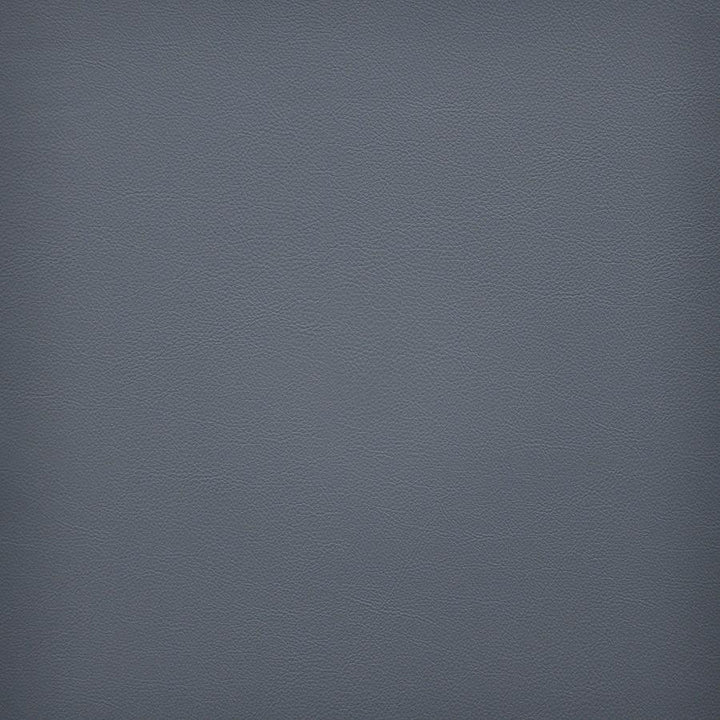 Vesper # 270 Comet by Maxwell Fabric Easy Rider Vi 100% PVC TAIWAN 54" - Fabric Carolina -