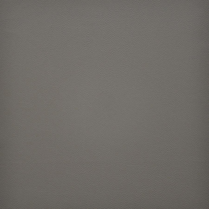 Vesper # 271 Sandstone by Maxwell Fabric Easy Rider Vi 100% PVC TAIWAN 54" - Fabric Carolina -