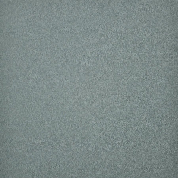 Vesper # 277 Reef by Maxwell Designer Fabric Easy Rider Vi 100% PVC TAIWAN 54" - Swanky Fabrics -