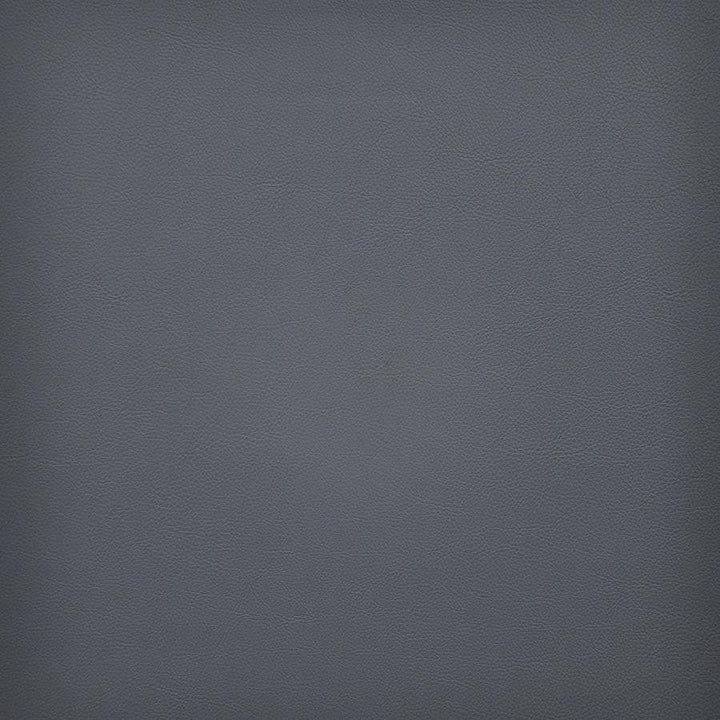 Vesper # 278 Blue Ridge by Maxwell Designer Fabric Easy Rider Vi 100% PVC TAIWAN 54" - Swanky Fabrics -