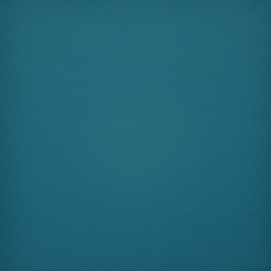 Vesper # 281 Maui by Maxwell Designer Fabric Easy Rider Vi 100% PVC TAIWAN 54" - Swanky Fabrics -