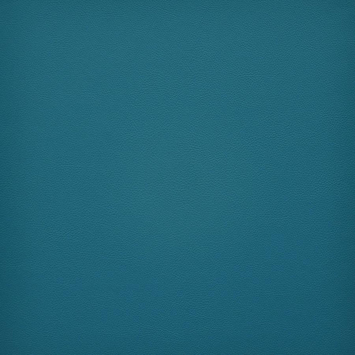 Vesper # 281 Maui by Maxwell Fabric Easy Rider Vi 100% PVC TAIWAN 54" - Fabric Carolina -