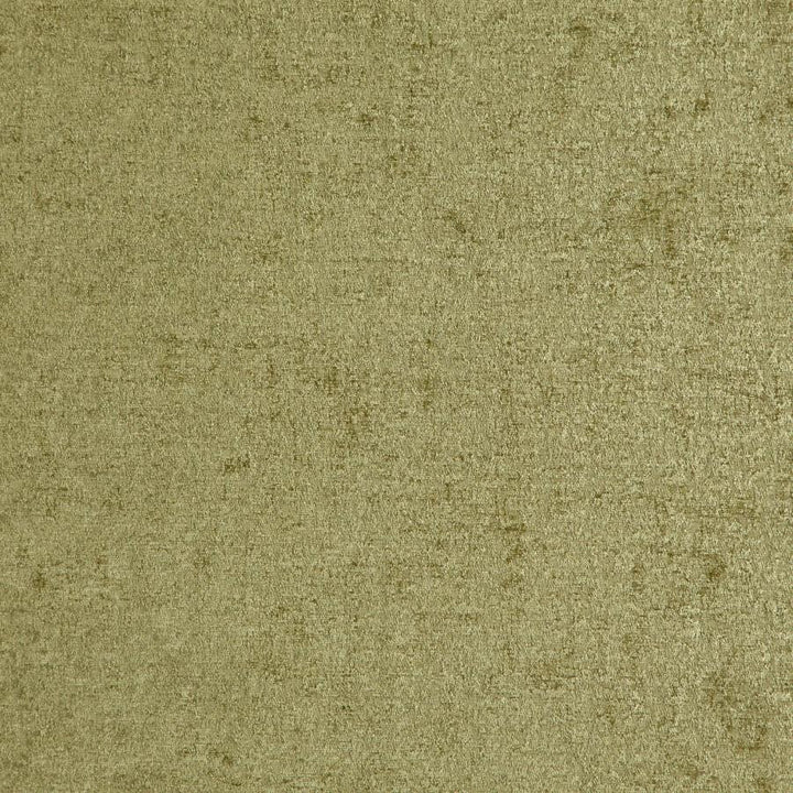 Vaudeville # 312 Grass by Maxwell Fabric Classic Chenilles 85% POLYESTER/15% COTTON INDIA 55" - Fabric Carolina -