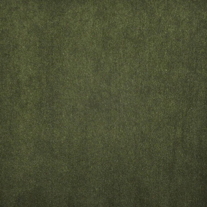 Vera # 716 Moss by Maxwell Fabric Performance Wovens-Vol. V Paintbrush 100% POLYESTER INDIA 57" - Fabric Carolina -