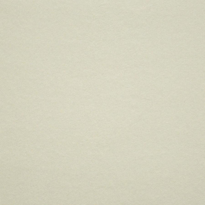 Vera # 924 Creme by Maxwell Fabric Performance Wovens-Vol. V Silver Sun 100% POLYESTER INDIA 57" - Fabric Carolina -