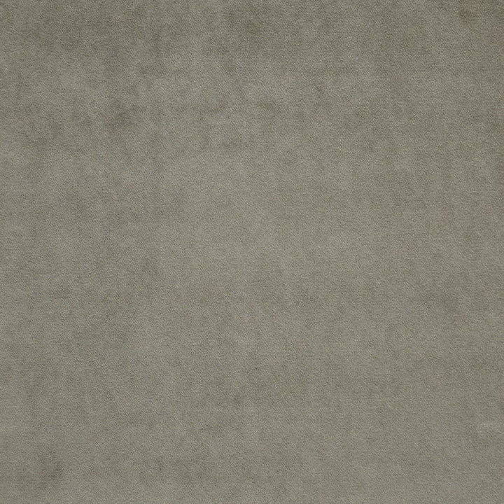 Vera # 939 Doe by Maxwell Fabric Performance Wovens-Vol. V Silver Sun 100% POLYESTER INDIA 57" - Fabric Carolina -
