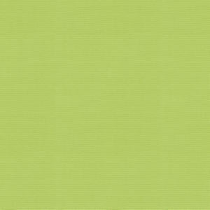 Vail Citron by Norbar Fabric VAIL 100% COTTON INDIA 55 - Fabric Carolina -