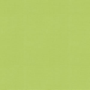 Vail Citron by Norbar Designer Fabric VAIL 100% COTTON INDIA 55 - Swanky Fabrics -