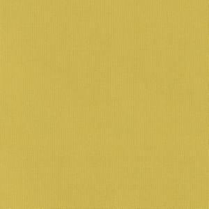 Vail Dandelion by Norbar Fabric VAIL 100% COTTON INDIA 55 - Fabric Carolina -