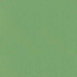 Vail Leaf by Norbar Fabric