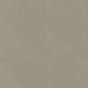 Vail Limestone by Norbar Fabric VAIL 100% COTTON INDIA 55 - Fabric Carolina -