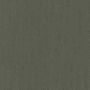 Vail Nightfall by Norbar Fabric VAIL 100% COTTON INDIA 55 - Fabric Carolina -