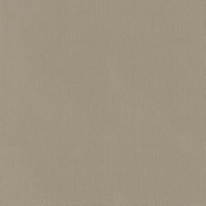 Vail Praline by Norbar Fabric VAIL 100% COTTON INDIA 55 - Fabric Carolina -