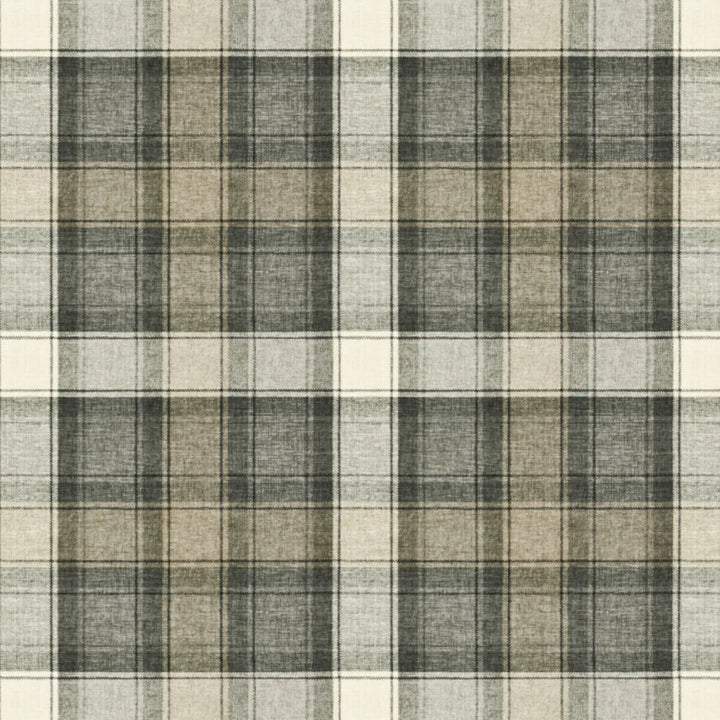 Valbrona 1 Graphite by Stout Fabric COMFORTABLE LIVING SMOKE/PEWTER 100%ACR TURKEY FLAME RETARDANT-U.F.A.C. CLASS 1 CATB 117-2013 WYZENBEEK 15 000 DOUBLE RUB WEAR TEST (HEAVY DUTY) Horizontal: 13.5 and Vertical: 13.5 55 in - Fabric Carolina -