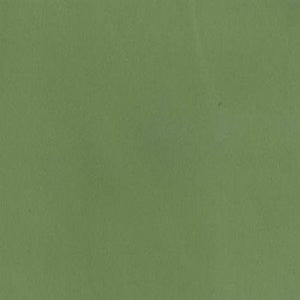 Valor Aloe by Norbar Fabric See Sample 100% PVC TAIWAN 100,000 WYZENBEEK 54" - Fabric Carolina -