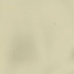 Valor Bisque by Norbar Fabric VINTAGE 100% PVC TAIWAN 100,000 WYZENBEEK 54" - Fabric Carolina -