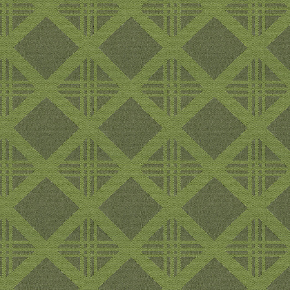 Bold 205 Lime by Endurepel Fabric N/A 100% Polyester China 160,000 Double Rubs </p><p>Repeat: Horizontal: 3.9" (9.6 cm) Across the Roll and Vertical: 3.7" (9.3 cm) Up the Roll 55" (140 cm) - Fabric Carolina -