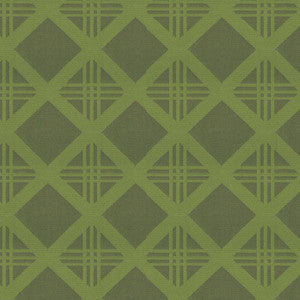 Bold 205 Lime by Endurepel Fabric