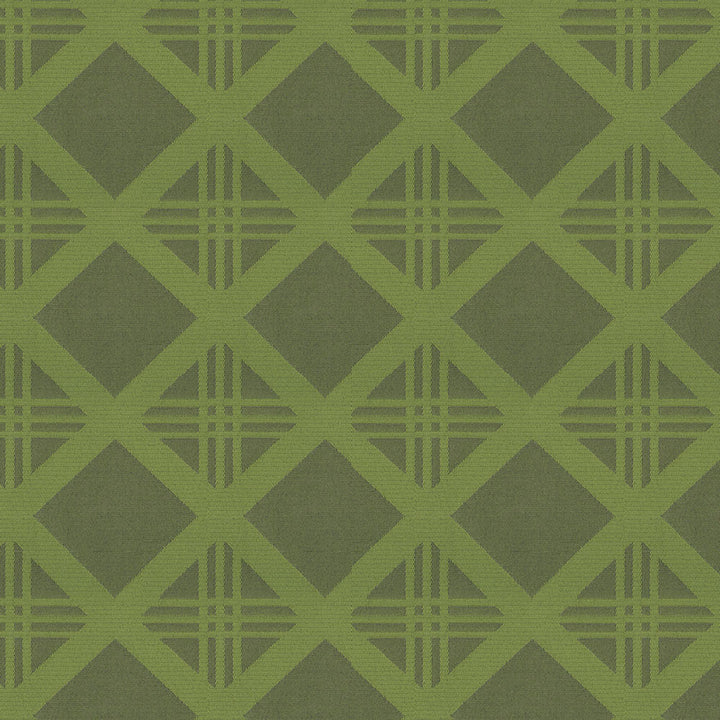 Bold 205 Lime by Endurepel Fabric N/A 100% Polyester China 160,000 Double Rubs </p><p>Repeat: Horizontal: 3.9" (9.6 cm) Across the Roll and Vertical: 3.7" (9.3 cm) Up the Roll 55" (140 cm) - Fabric Carolina -