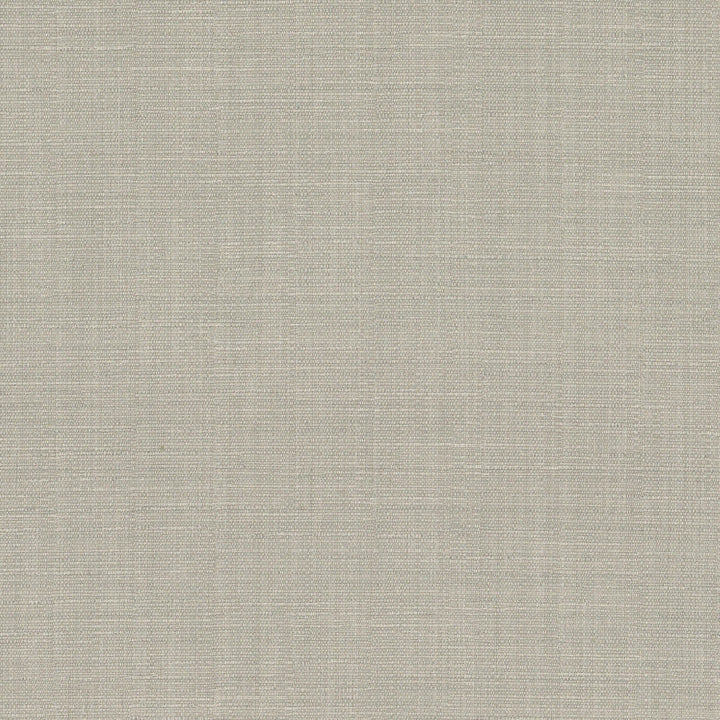 Vanessa 4 Chrome by Stout Fabric Stout Fabric Vanessa 4 ChromeFabric COLOR MY WINDOW PEWTER/TAUPE 100%POL INDIA </p><p>Repeat: H: 0.000, V: 0.000 54 in - Fabric Carolina -