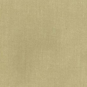 Vanguard Flax by Norbar Fabric See Sample 100% PVC TAIWAN 100,000 WYZENBEEK 54" - Fabric Carolina -