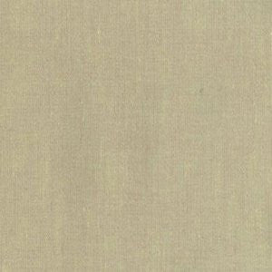 Vanguard Mushroom by Norbar Fabric See Sample 100% PVC TAIWAN 100,000 WYZENBEEK 54" - Fabric Carolina -