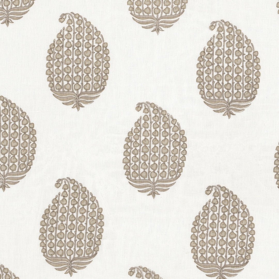 Vanpatton 3 Pongee by Stout Designer Fabric