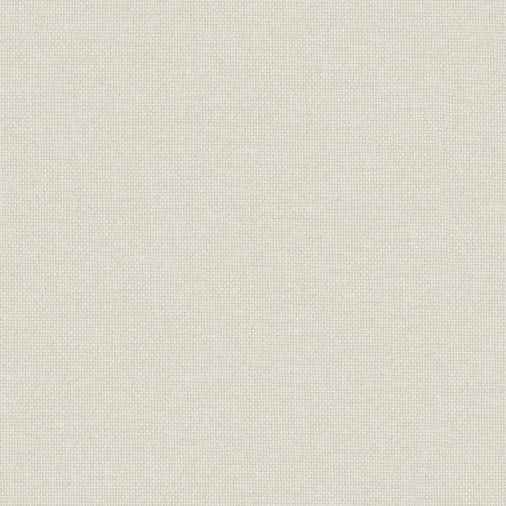 Valentina # 101 Meringue by Maxwell Fabric Wide Width Basics Iii 100% RECYCLED POLYESTER INDIA 118" - Fabric Carolina -