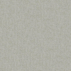 Valentina # 109 Limestone by Maxwell Fabric