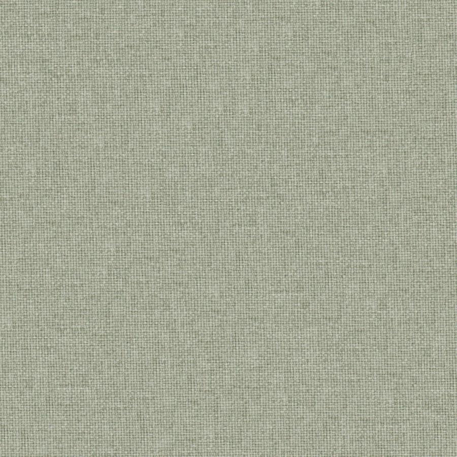 Valentina # 113 Seagrass by Maxwell Fabric Wide Width Basics Iii 100% RECYCLED POLYESTER INDIA 118" - Fabric Carolina -