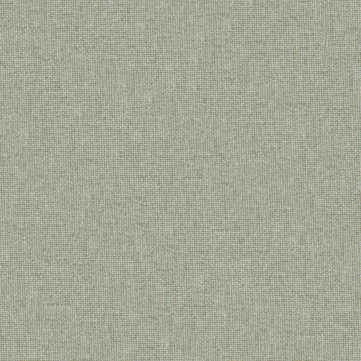 Valentina # 113 Seagrass by Maxwell Fabric Wide Width Basics Iii 100% RECYCLED POLYESTER INDIA 118" - Fabric Carolina -