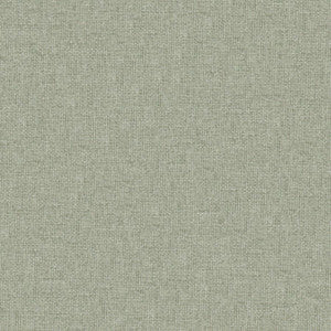 Valentina # 113 Seagrass by Maxwell Fabric