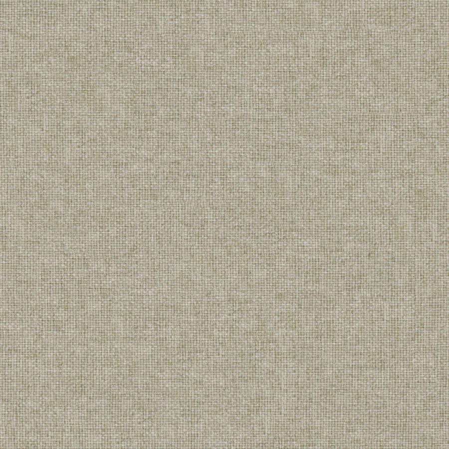 Valentina # 154 Funghi by Maxwell Fabric Wide Width Basics Iii 100% RECYCLED POLYESTER INDIA 118" - Fabric Carolina -