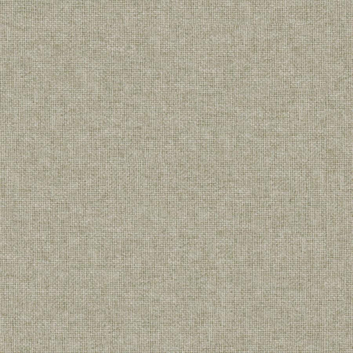 Valentina # 154 Funghi by Maxwell Fabric Wide Width Basics Iii 100% RECYCLED POLYESTER INDIA 118" - Fabric Carolina -