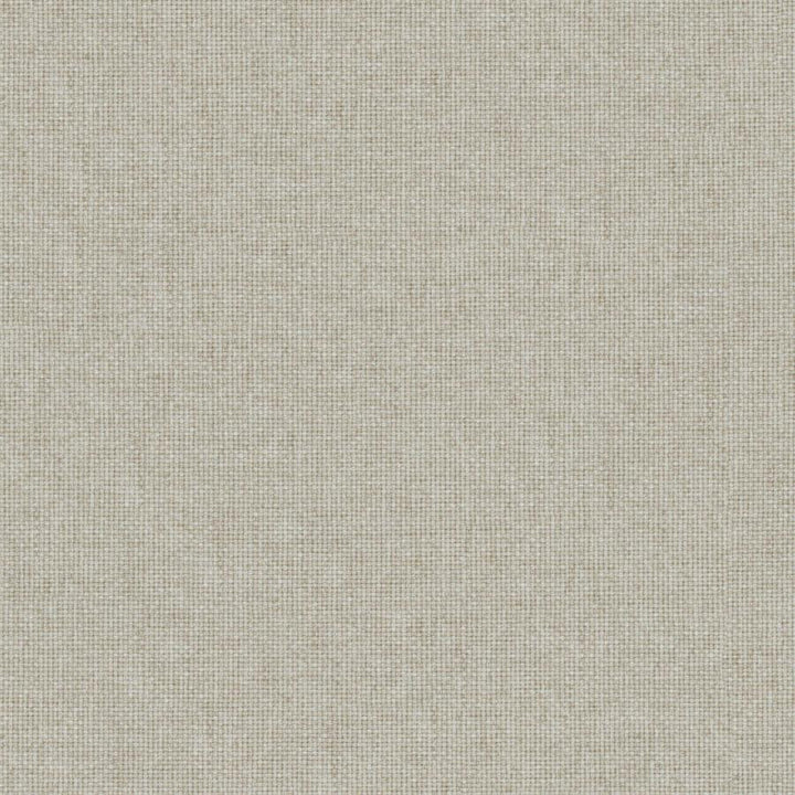 Valentina # 166 Sesame by Maxwell Fabric Wide Width Basics Iii 100% RECYCLED POLYESTER INDIA 118" - Fabric Carolina -