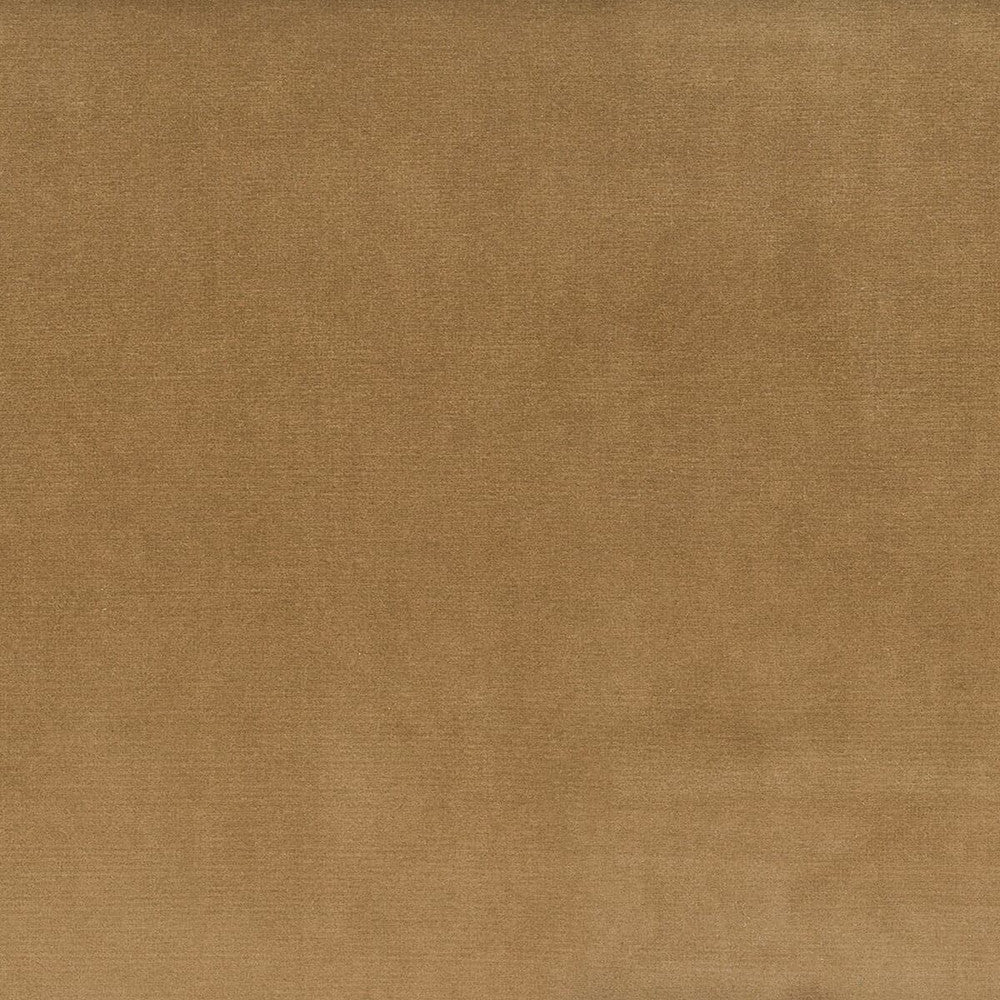 Velvety 3 Toffee by Stout Fabric Settle In 100% Polyester Other CHINA CATB 117-2013 WYZENBEEK 150 000 DOUBLE RUB WEAR TEST (HEAVY DUTY) Horizontal: 0 and Vertical: 0 54 in - Fabric Carolina -