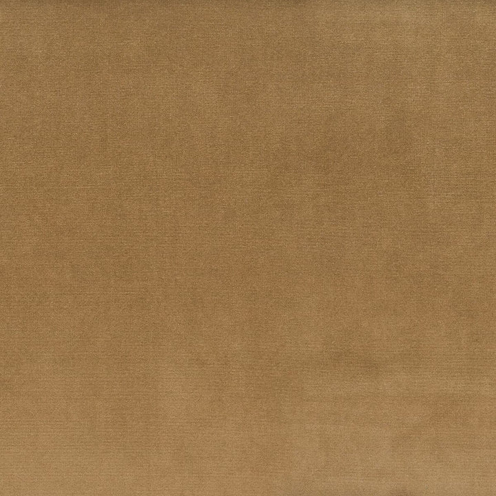 Velvety 3 Toffee by Stout Fabric Settle In 100% Polyester Other CHINA CATB 117-2013 WYZENBEEK 150 000 DOUBLE RUB WEAR TEST (HEAVY DUTY) Horizontal: 0 and Vertical: 0 54 in - Fabric Carolina -