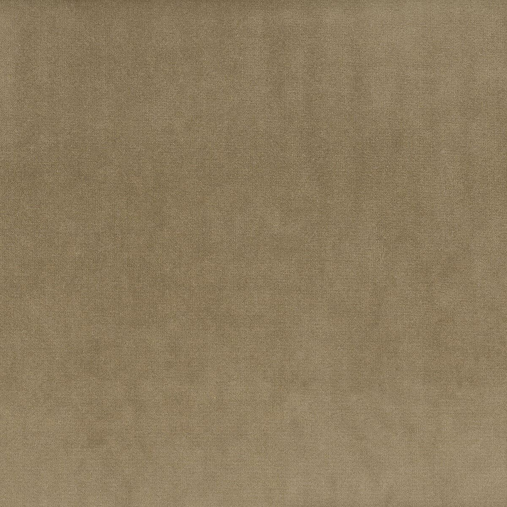 Velvety 4 Dusk by Stout Fabric Settle In 100% Polyester Other CHINA CATB 117-2013 WYZENBEEK 150 000 DOUBLE RUB WEAR TEST (HEAVY DUTY) Horizontal: 0 and Vertical: 0 54 in - Fabric Carolina -