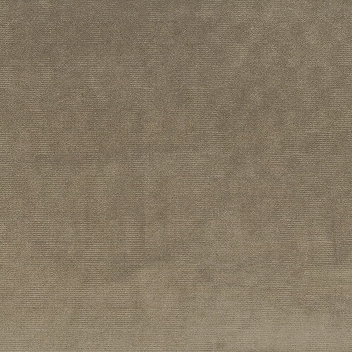 Velvety 6 Slate by Stout Fabric Settle In 100% Polyester Other CHINA CATB 117-2013 WYZENBEEK 150 000 DOUBLE RUB WEAR TEST (HEAVY DUTY) Horizontal: 0 and Vertical: 0 54 in - Fabric Carolina -