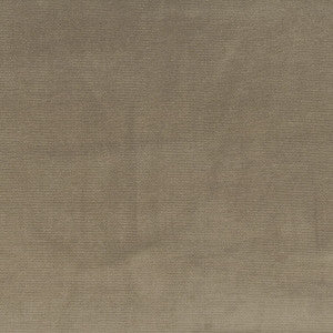 Velvety 6 Slate by Stout Fabric