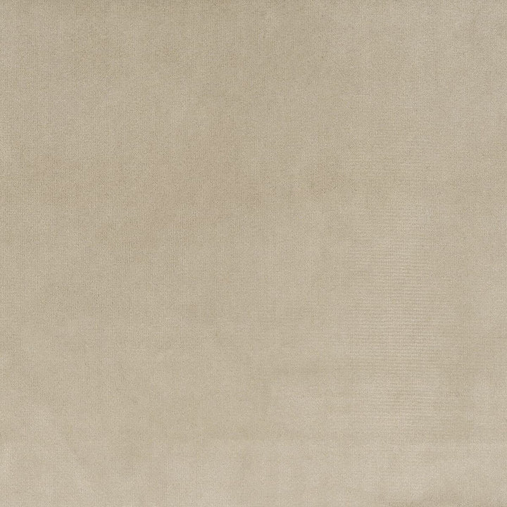 Velvety 7 Ash by Stout Fabric SETTLE IN 100%POL %OTH CHINA CATB 117-2013 WYZENBEEK 150 000 DOUBLE RUB WEAR TEST (HEAVY DUTY) Horizontal: 0 and Vertical: 0 54 in - Fabric Carolina -
