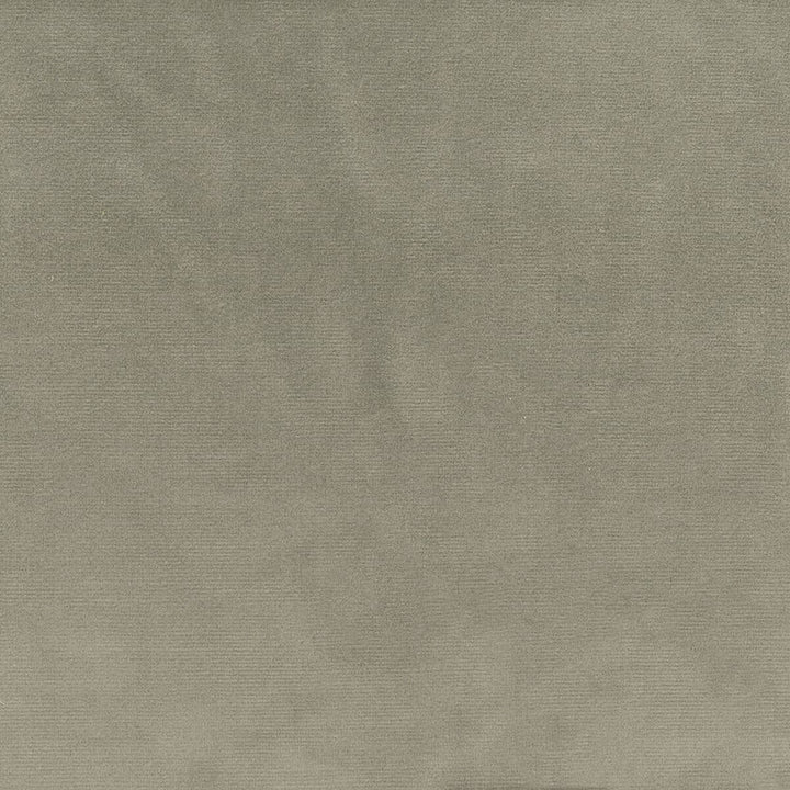 Velvety 8 Smoke by Stout Fabric SETTLE IN 100%POL %OTH CHINA CATB 117-2013 WYZENBEEK 150 000 DOUBLE RUB WEAR TEST (HEAVY DUTY) Horizontal: 0 and Vertical: 0 54 in - Fabric Carolina -